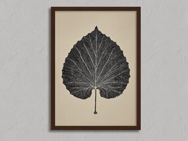 Framed botanical print of a single aspen leaf in fine line art. Minimalist, organic wall decor with timeless natural elegance.