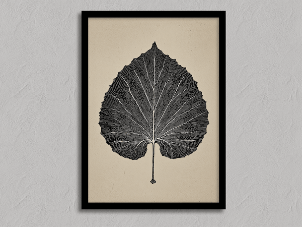 Framed botanical print of a single aspen leaf in fine line art. Minimalist, organic wall decor with timeless natural elegance.