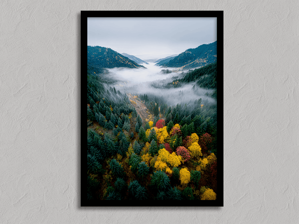 Framed fine art print of a misty valley in fall colours. Red, gold, and evergreen forest hues captured in a vivid autumn woodland scene.