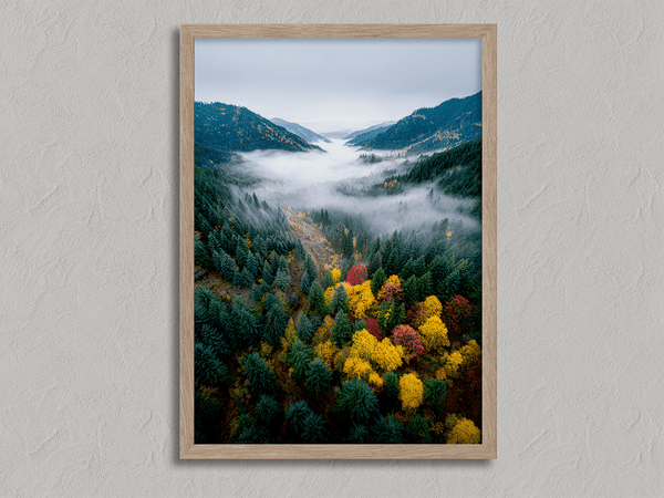 Framed fine art print of a misty valley in fall colours. Red, gold, and evergreen forest hues captured in a vivid autumn woodland scene.