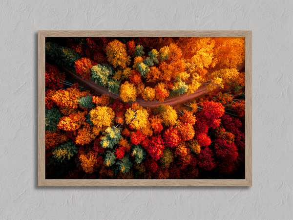 Canvas wall art of an autumn forest from above in crimson, gold, and flame hues. A vibrant seasonal landscape print. Ready to hang.