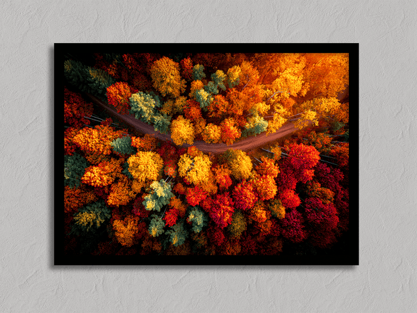 Canvas wall art of an autumn forest from above in crimson, gold, and flame hues. A vibrant seasonal landscape print. Ready to hang.