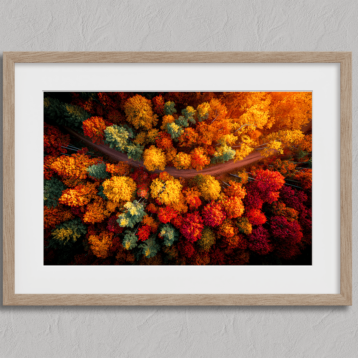 Autumn Forest Wall Art Print | Crimson Canopy