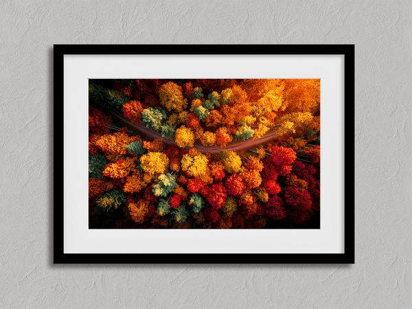 Canvas wall art of an autumn forest from above in crimson, gold, and flame hues. A vibrant seasonal landscape print. Ready to hang.
