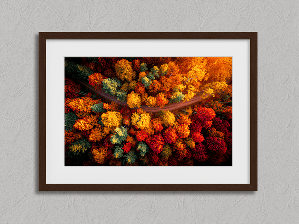 Canvas wall art of an autumn forest from above in crimson, gold, and flame hues. A vibrant seasonal landscape print. Ready to hang.