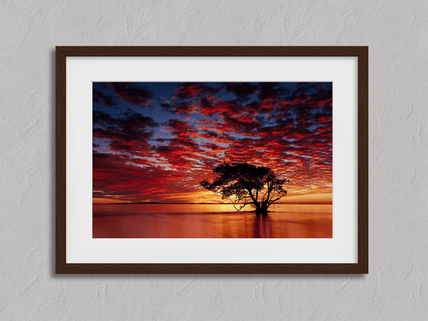 Framed wall art of a solitary ocean tree at sunrise. A serene fine art print capturing dawn’s quiet light over sea and sky.