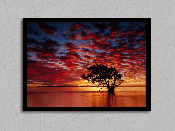 Framed wall art of a solitary ocean tree at sunrise. A serene fine art print capturing dawn’s quiet light over sea and sky.