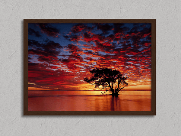 Framed wall art of a solitary ocean tree at sunrise. A serene fine art print capturing dawn’s quiet light over sea and sky.