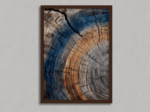 Framed fine art print of tree ring textures in warm browns and cool blues. A striking, timeless piece of nature-inspired wall art.