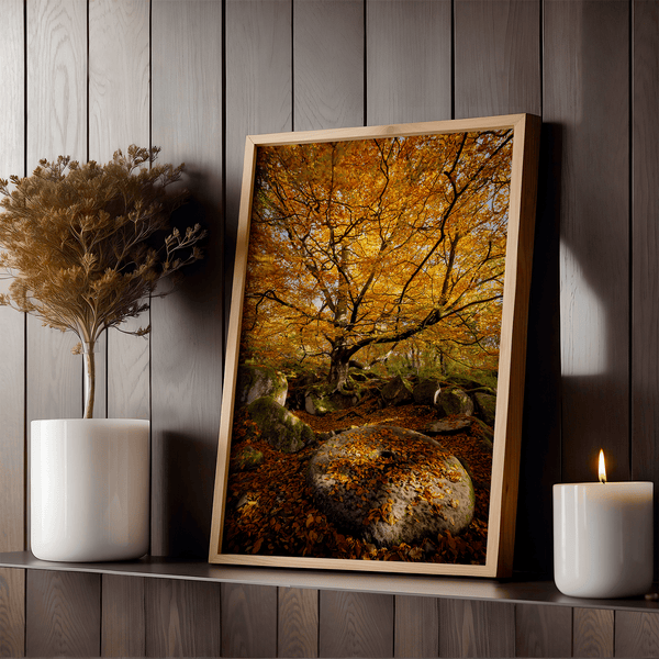 Framed woodland print of autumn roots and mossy millstone. A nature-inspired artwork capturing strength, resilience, and seasonal beauty.