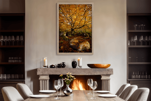 Framed woodland print of autumn roots and mossy millstone. A nature-inspired artwork capturing strength, resilience, and seasonal beauty.