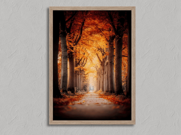 Framed wall art of a tree-lined autumn path beneath golden leaves. A nostalgic woodland print in warm light. Ready to hang.