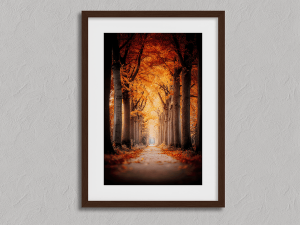 Framed wall art of a tree-lined autumn path beneath golden leaves. A nostalgic woodland print in warm light. Ready to hang.