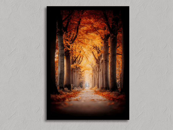 Framed wall art of a tree-lined autumn path beneath golden leaves. A nostalgic woodland print in warm light. Ready to hang.