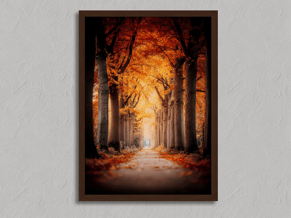 Framed wall art of a tree-lined autumn path beneath golden leaves. A nostalgic woodland print in warm light. Ready to hang.