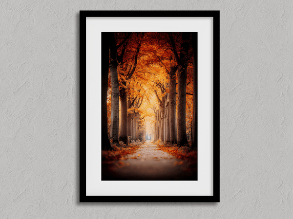 Framed wall art of a tree-lined autumn path beneath golden leaves. A nostalgic woodland print in warm light. Ready to hang.