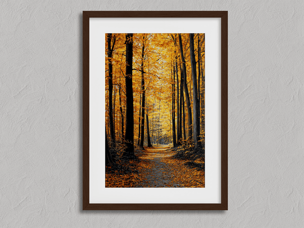 Framed wall art of a golden autumn forest path bathed in amber light. A tranquil seasonal woodland print. Ready to hang.