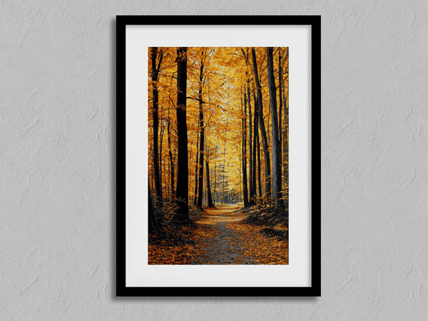 Framed wall art of a golden autumn forest path bathed in amber light. A tranquil seasonal woodland print. Ready to hang.