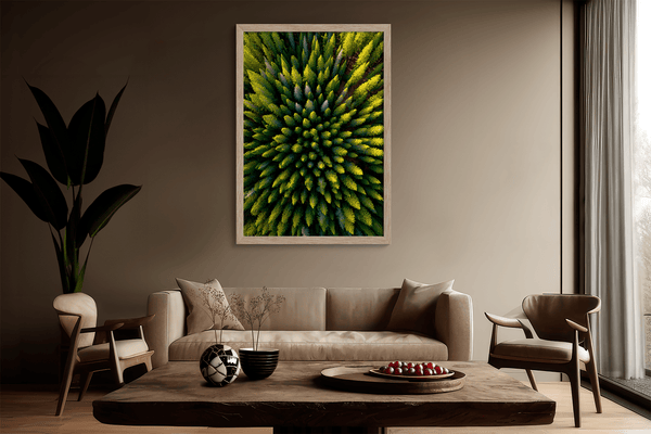Framed aerial forest print of pine trees in golden light. A fine art wall piece capturing symmetry, balance, and nature’s quiet beauty.