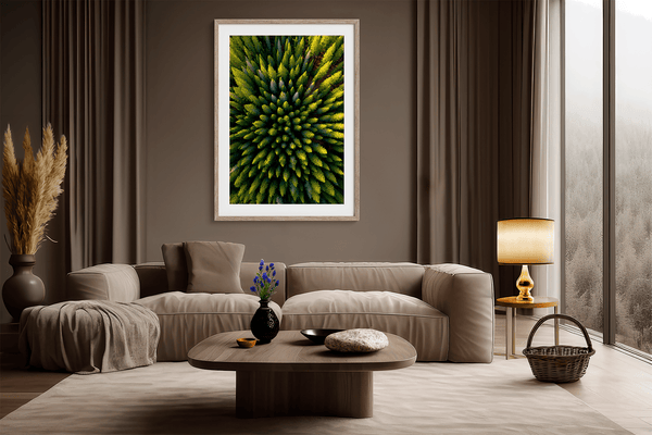 Framed aerial forest print of pine trees in golden light. A fine art wall piece capturing symmetry, balance, and nature’s quiet beauty.