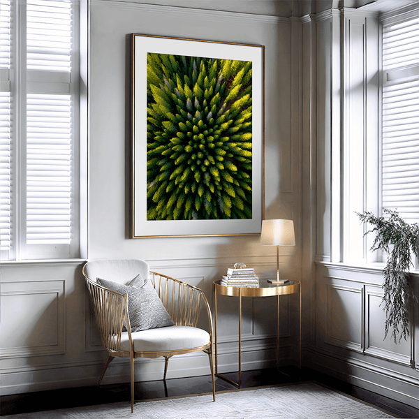 Framed aerial forest print of pine trees in golden light. A fine art wall piece capturing symmetry, balance, and nature’s quiet beauty.