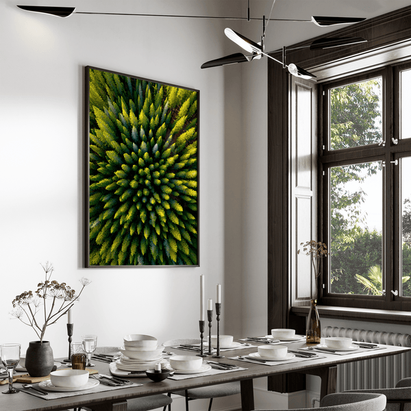 Framed aerial forest print of pine trees in golden light. A fine art wall piece capturing symmetry, balance, and nature’s quiet beauty.