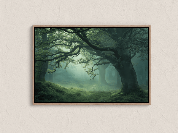 Framed canvas wall art of a mossy, mist-covered forest. Ethereal and calming. Ready to hang.