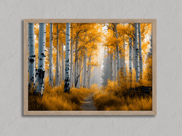 Framed wall art of silver birch trees glowing in golden light. A minimalist woodland print that brings calm and balance.
