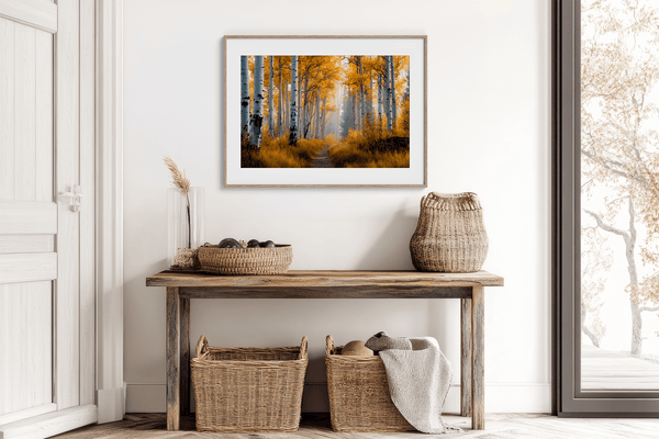 Framed wall art of silver birch trees glowing in golden light. A minimalist woodland print that brings calm and balance.