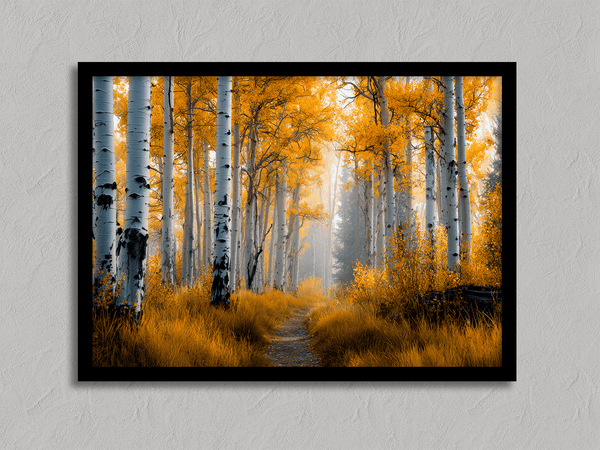 Framed wall art of silver birch trees glowing in golden light. A minimalist woodland print that brings calm and balance.