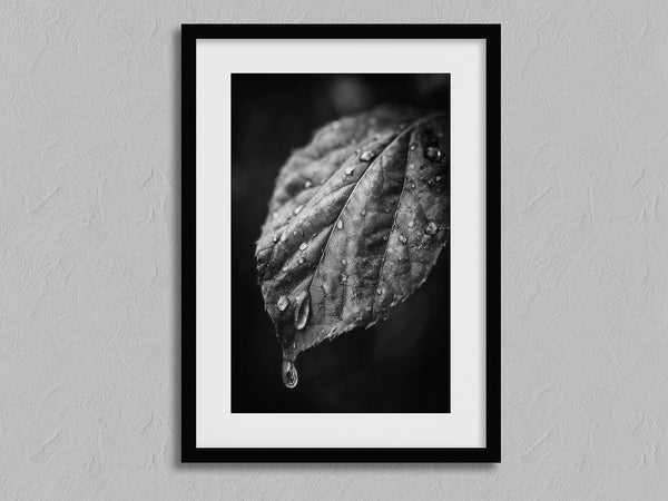 After Rain shown in a black frame with a white border or mount.