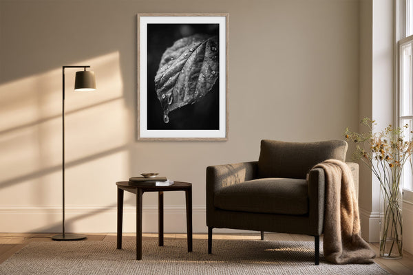 Framed black-and-white rain-covered leaf print above an armchair, side table, and floor lamp.