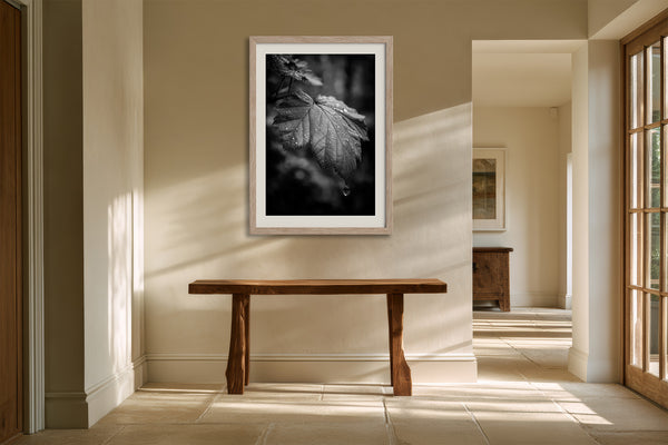 Framed black-and-white rain-covered leaf photograph above a rustic wooden bench in a sunlit hallway.