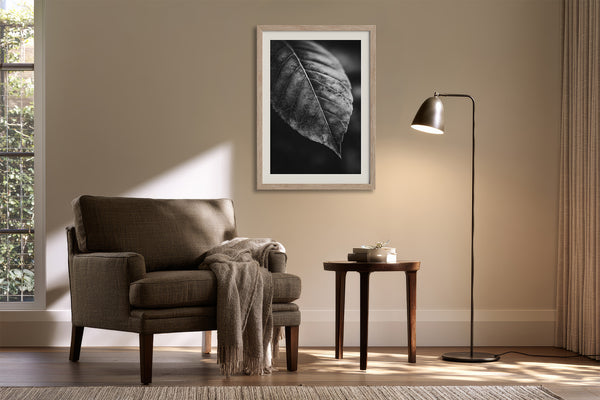 Framed black-and-white leaf vein photograph above an armchair, side table, and floor lamp.