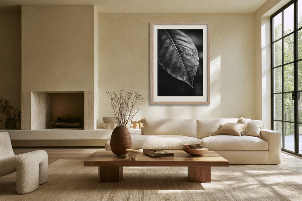 Framed black-and-white leaf vein photograph above a sofa in a sunlit living area.