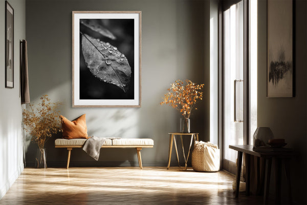 Light-framed black-and-white leaf wall art above a bench in a sunlit hallway.