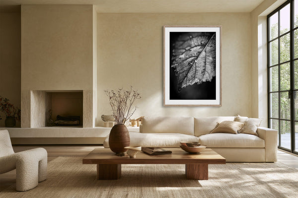 White-matted monochrome leaf artwork in a light wood frame above a cream sofa.