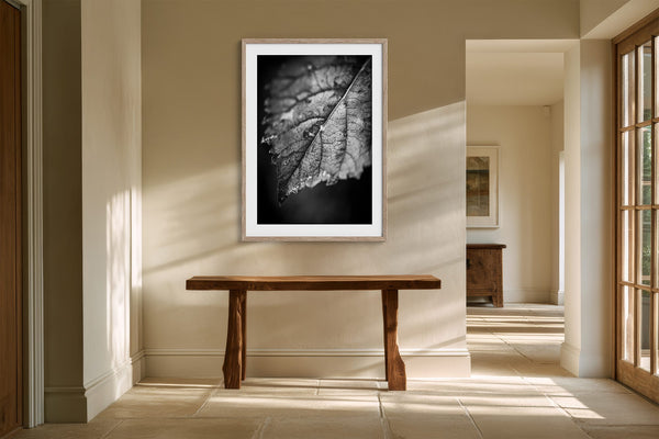White-matted monochrome leaf artwork above a rustic wood console in a sunlit hallway.