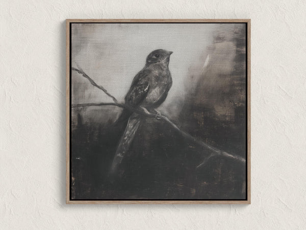 Canvas wall art of a solitary nightjar in monochrome. A contemplative charcoal bird print, ready to hang.