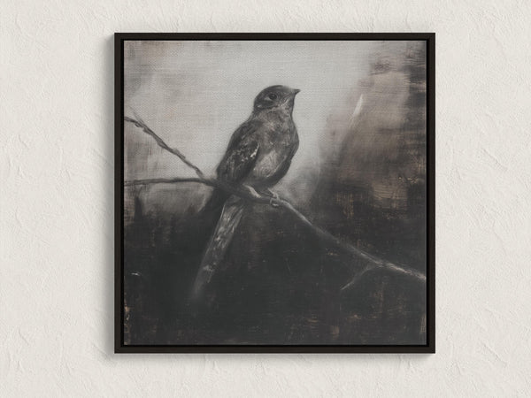 Canvas wall art of a solitary nightjar in monochrome. A contemplative charcoal bird print, ready to hang.