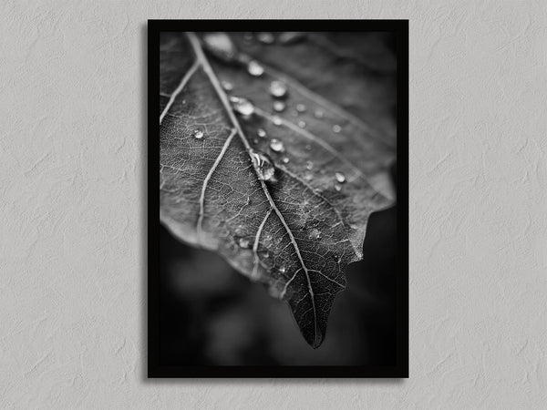 Vein and Rain shown in a black frame without a border or mount.