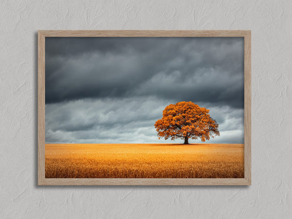 The Last Oak shown in an oak frame with a white border or mount.