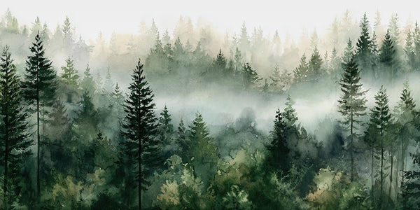 Watercolour painting of dark pine trees layered through misty green woodland