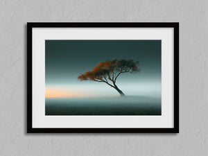 Lone orange autumn tree leaning through mist beneath a soft teal sky.