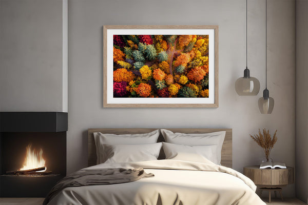 A large framed wall art print featuring a dense, colourful abstract floral or forest-like pattern in red, orange, yellow, green, and blue.