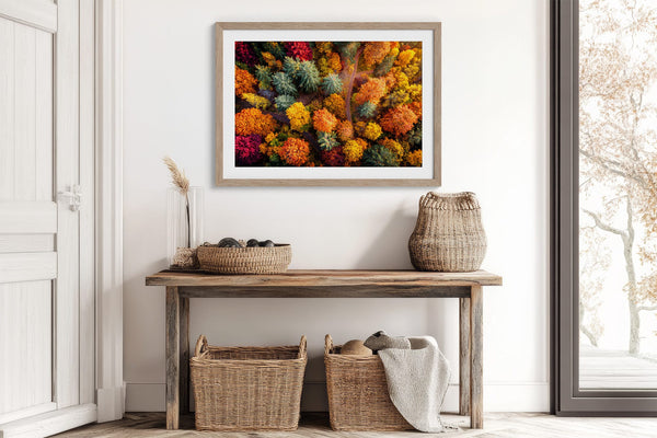 A large framed wall art print featuring a dense, colourful abstract floral or forest-like pattern in red, orange, yellow, green, and blue.