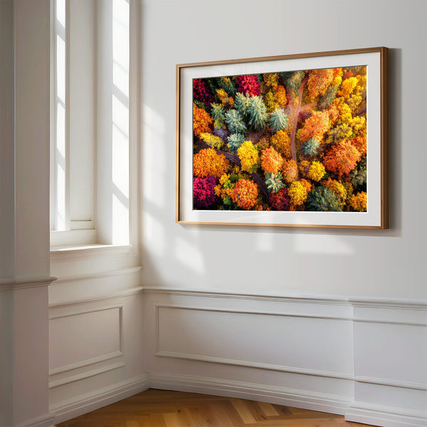 A large framed wall art print featuring a dense, colourful abstract floral or forest-like pattern in red, orange, yellow, green, and blue.