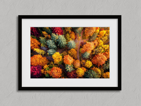Woodland Mosaic shown in a black frame with a white border or mount.