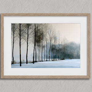 Bare winter trees fading into blue-grey mist across a quiet snow-covered landscape.