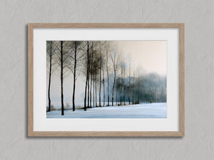 Bare winter trees fading into blue-grey mist across a quiet snow-covered landscape.
